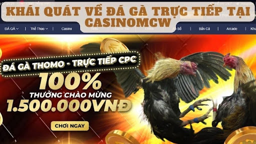 Khái quát về đá gà trực tiếp tại casinomcw