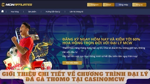 Giới thiệu chi tiết về chương trình đại lý đá gà thomo tại casinomcw