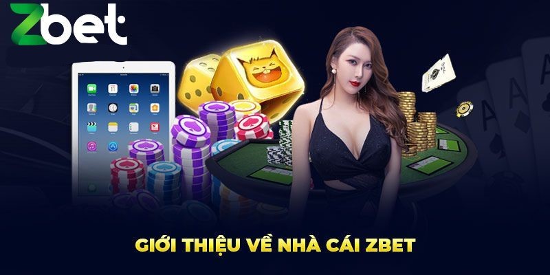 Minh họa website zbet